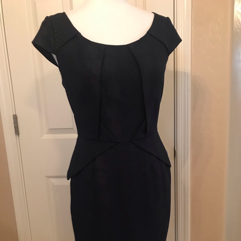Adrianna papell dress